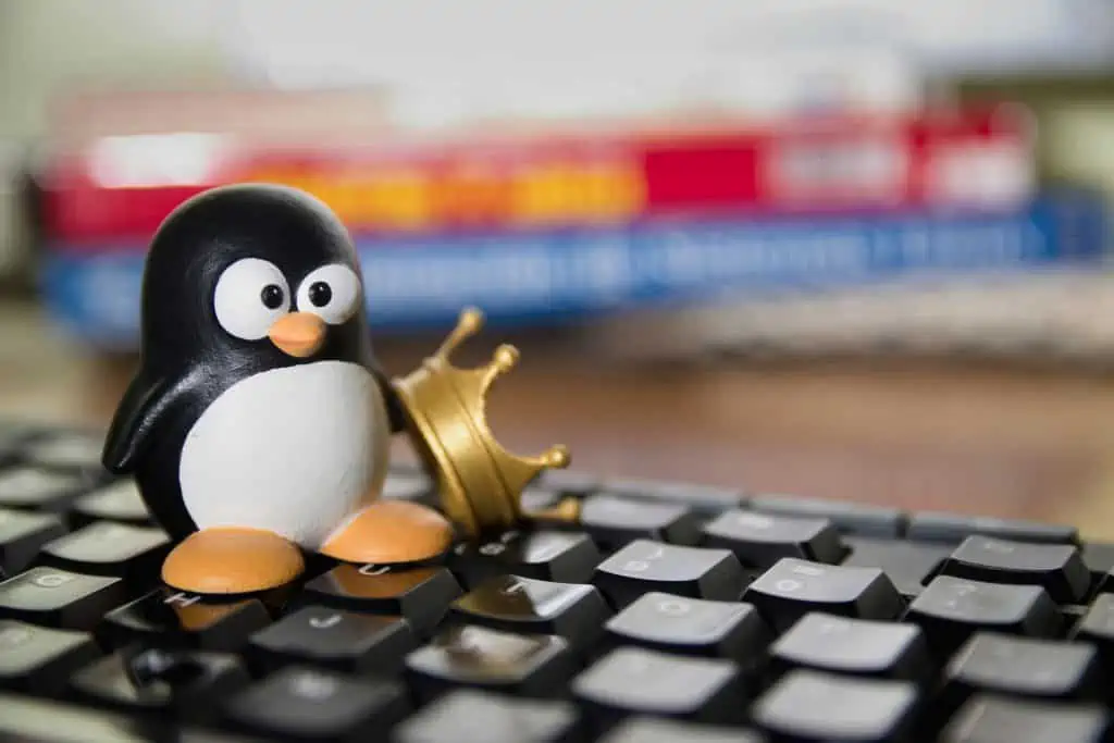 Tux a Linux mascot sitting on a keyboard