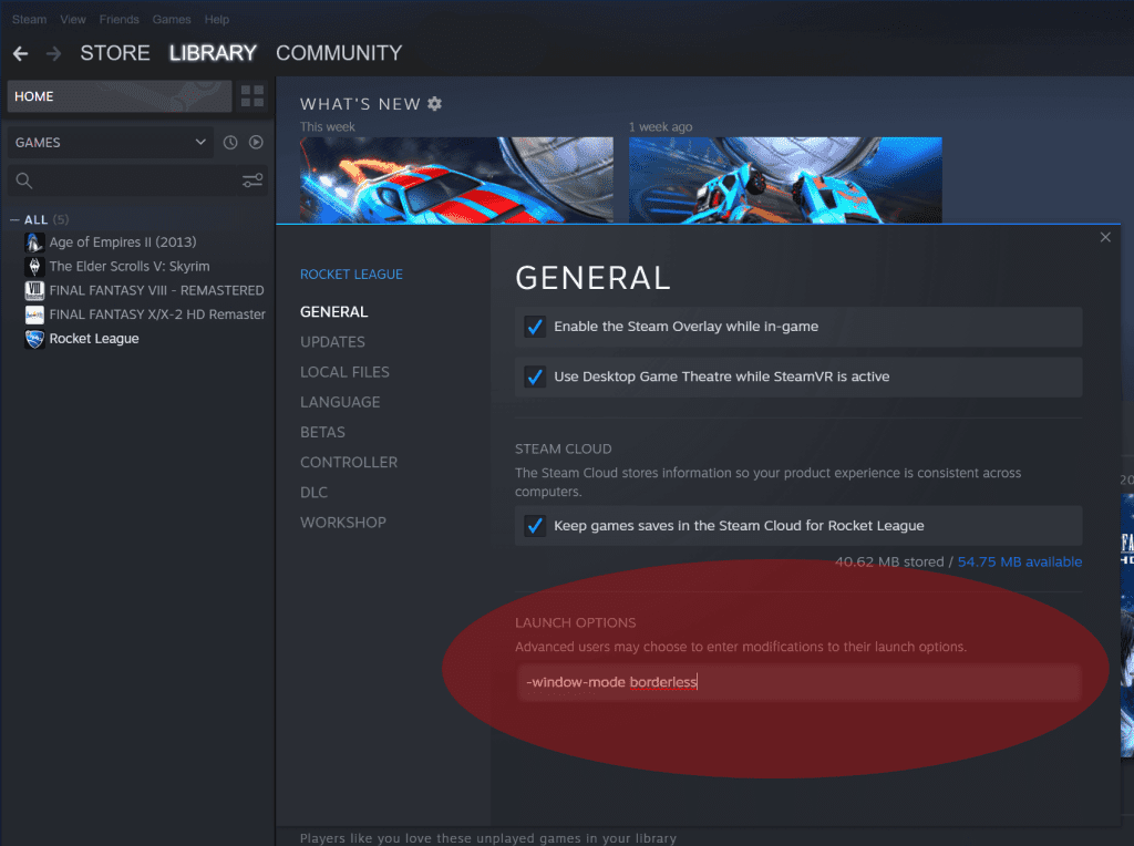 Adding launch options for a game within Steam