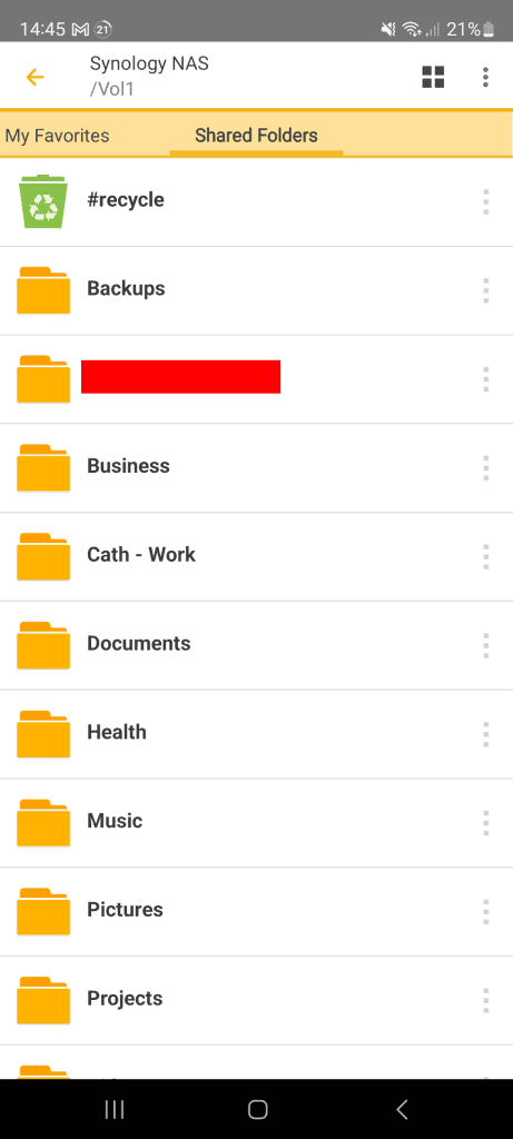 The Synology DSFile app on my smartphone