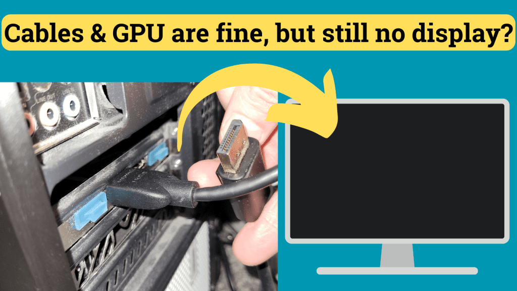 Display cables plugged into my GPU but no output on a monitor